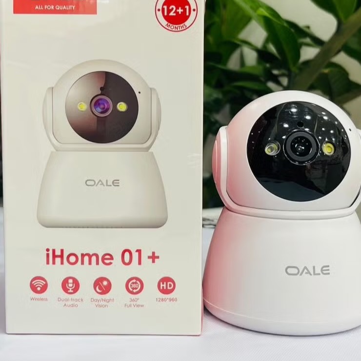 caméra de sécurité Oale